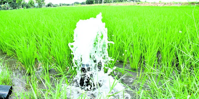 జలసిరులు