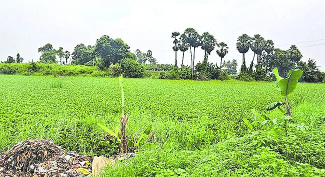 ఏమైందో ఏమో!