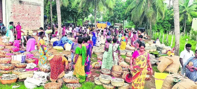 సంతసించేలా చేపల వ్యాపారం