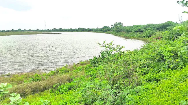 ప్రాజ