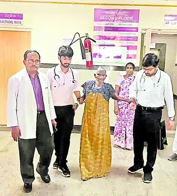 మెదడు