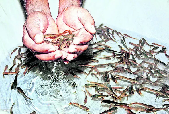 కొలిక్కిరాని టెండర్లు