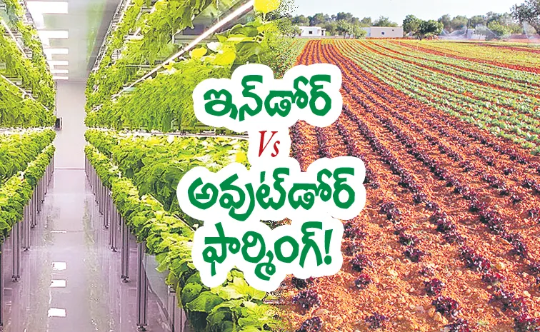Advantages of outdoor farming over indoor farming explainer sagubadi