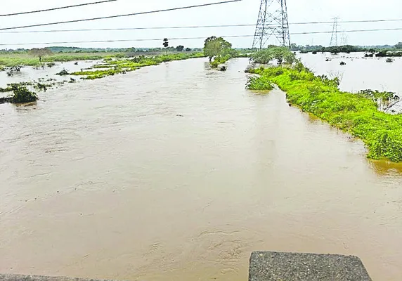 వర్షాలు కురిసి.. జలాలు పెరిగి
