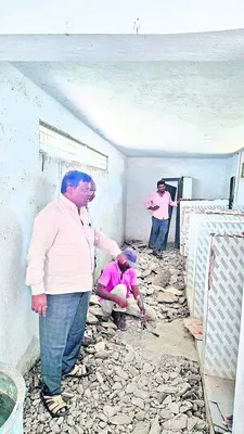 కాలేజ