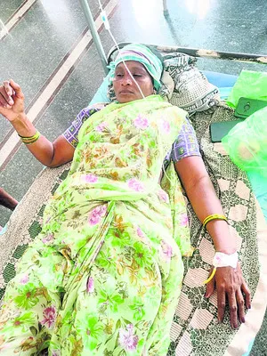 అడవిపంది దాడిలో మహిళకు తీవ్రగాయాలు