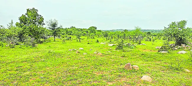 చర్యలుంటాయా..?