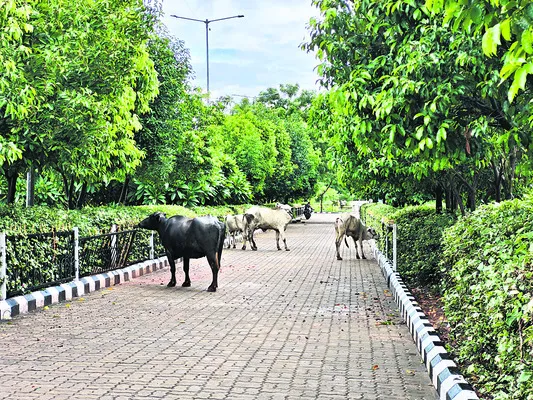 పర్యవ