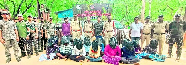 15మంది స్మగ్లర్ల అరెస్ట్
