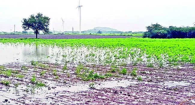 యల్లన