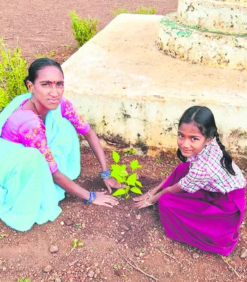మొక్కనాటు.. ఫొటో పెట్టు