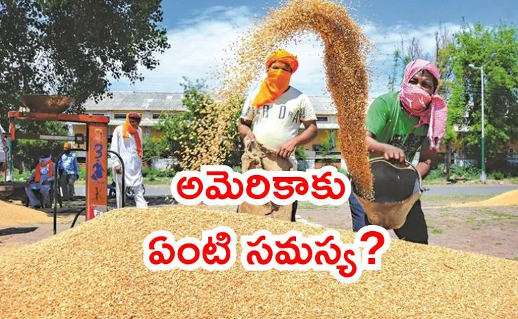 Why US, Paraguay questioning of India rice MSP hike