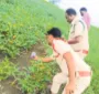 చిరుతపులి సంచారమంటూ వైరల్