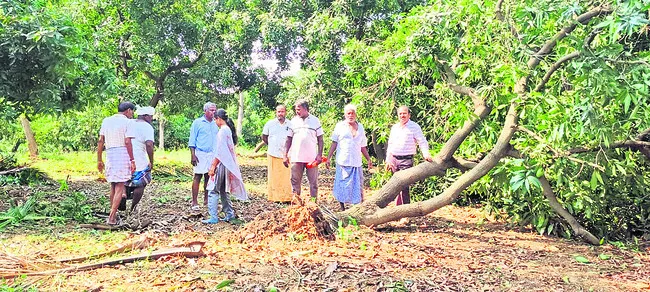 ఆశలు నేలమట్టం.. అందదా పరిహారం