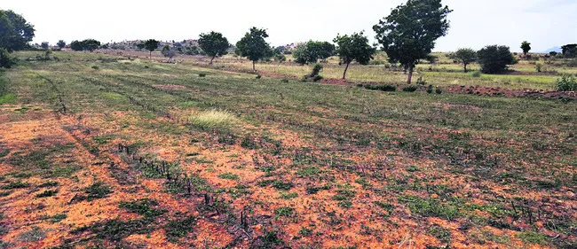 కనిపించని ప్రత్యామ్నాయం 