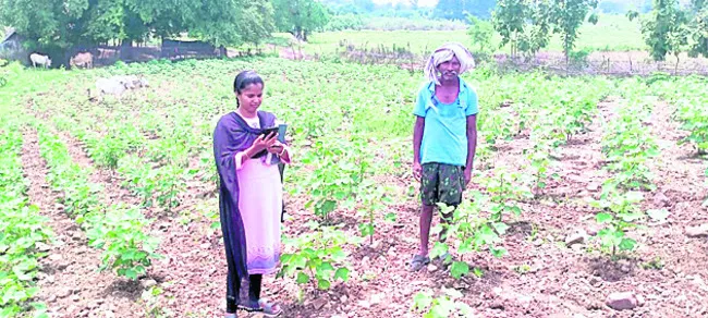 పంటల డిజిటల్ సర్వే