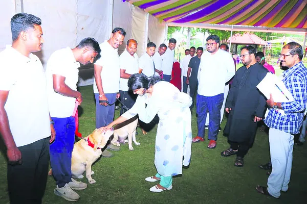 కుక్కల దత్తతకు అంతా సిద్ధం
