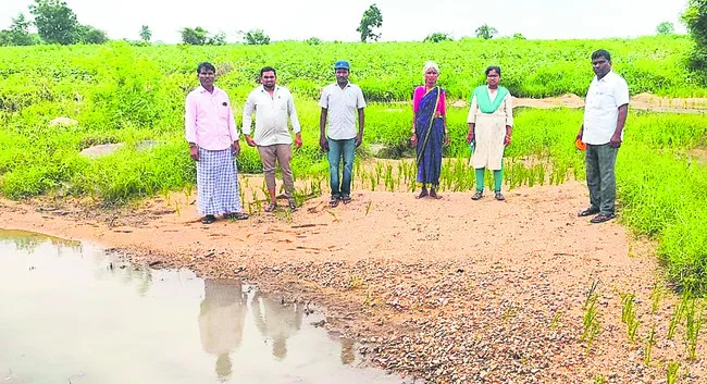 దెబ్బతిన్న పంటల పరిశీలన