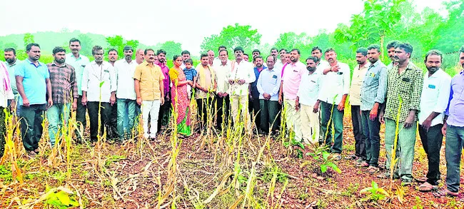 కాంగ్రెస్ ప్రభుత్వం రైతు వ్యతిరేకి..