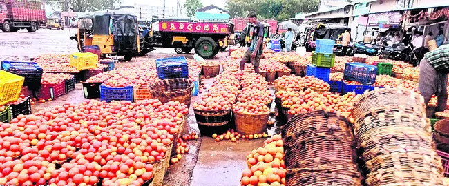 టమాట ధర నేలచూపు!