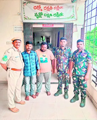 ఎర్ర చందనం కేసులో ఇద్దరికి జైలు  