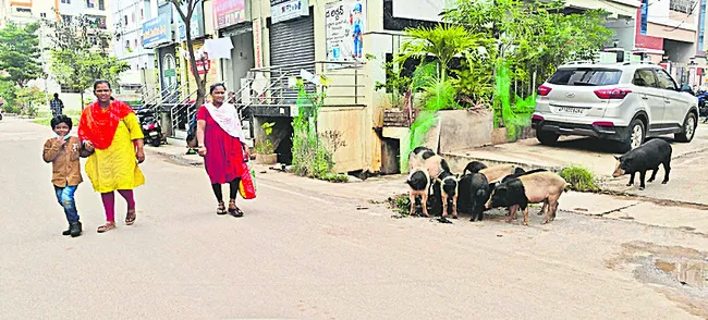 అంతుచ