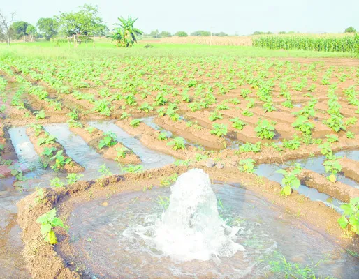 పాతాళ గంగమ్మ ౖపైపెకి..