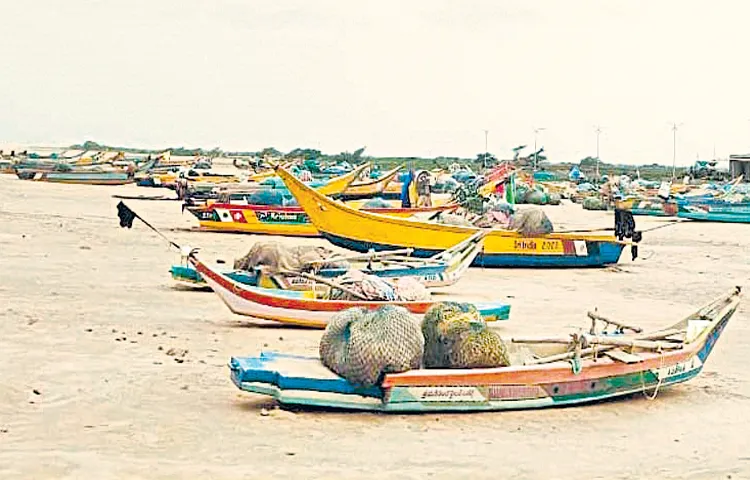 Hunting boycott until illegal hunting by Cuddalore boats stops
