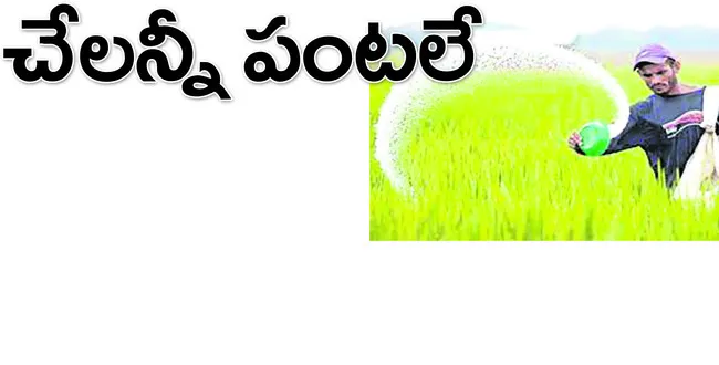 ఖరీఫ్