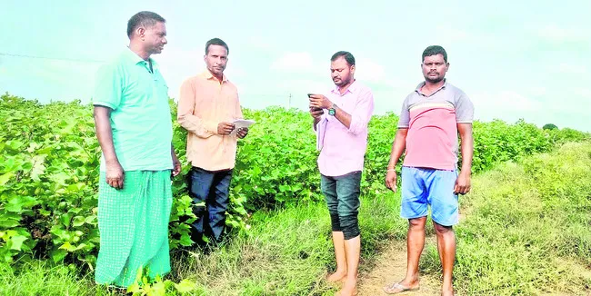 పక్కా
