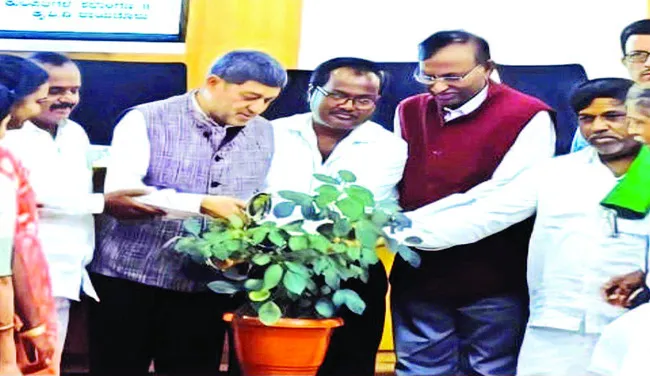 పంటలకు గరిష్ట ధరలు కల్పించాలి 