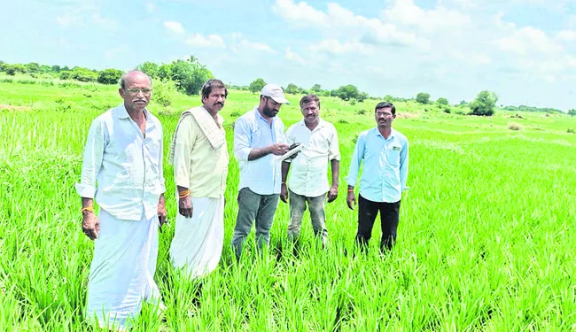 పక్కాగా పంటల నమోదు!