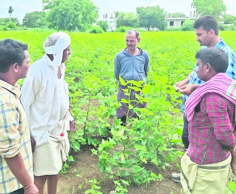పంటల సాగుపై స్పష్టత