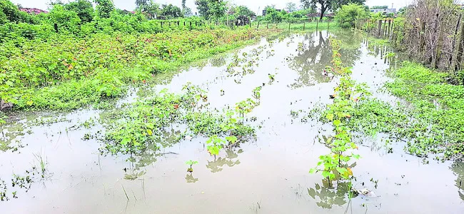 జిల్లాలో 29.6 మి.మీల వర్షం