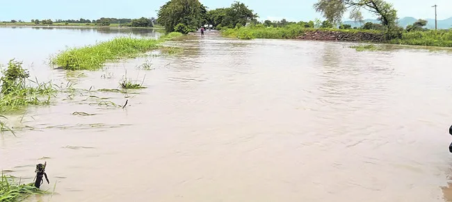 జోరు
