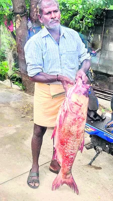 నవోదయలో దరఖాస్తులకు ఆహ్వానం