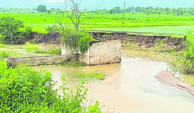 ఆశల స