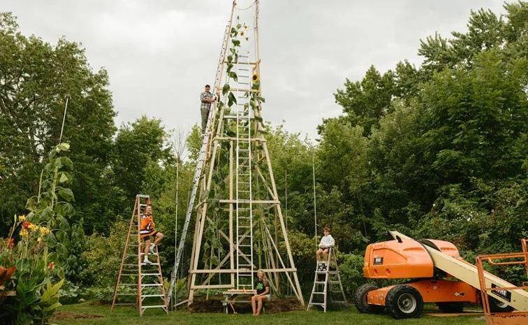 Ukrain immigrant sets world record for growing tallest sunflower