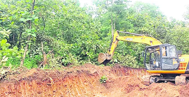 టేకు చెట్లు నరికి.. మొరం గుట్టలు తవ్వి