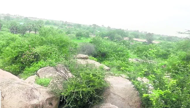 చిరుత సంచారంతో బెంబేలు