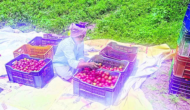 రైతు కష్టం.. దళారుల పాలు