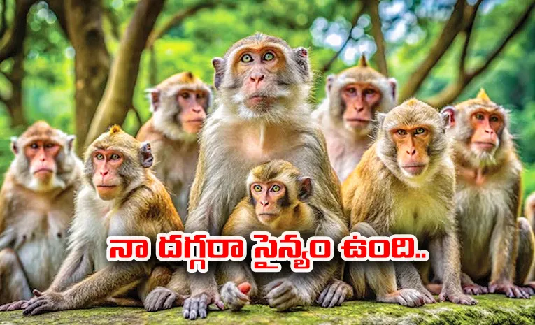 Rowdy Monkey In jayashankar