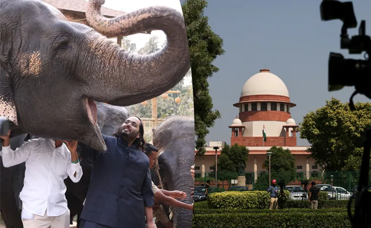వంతారాకు ఊరట