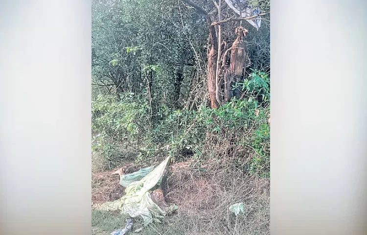 A mess of bodies in the Pakala forest area