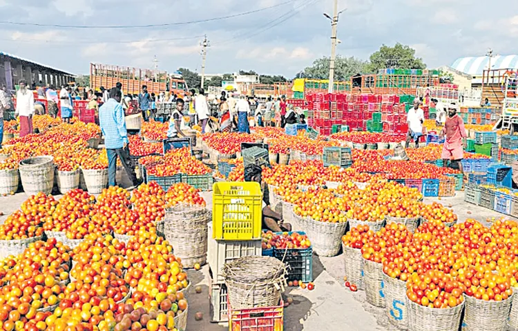 Tomato prices have further deteriorated