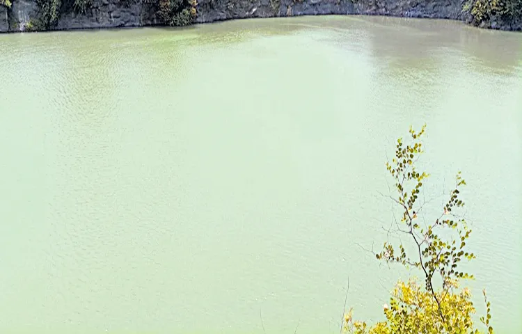 E coli bacteria in Turakapalem water