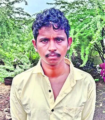 అన్ని