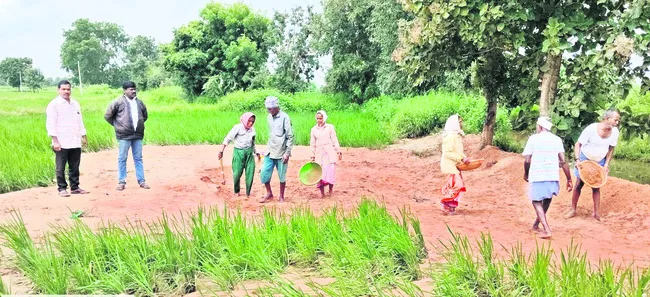 బాధిత రైతులకు ఊరట 