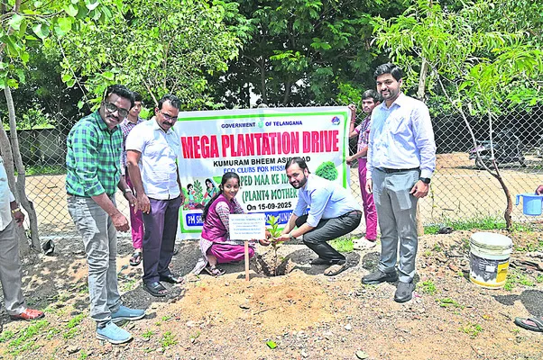 ‘అమ్మ’ మొక్కను బతికించాలి