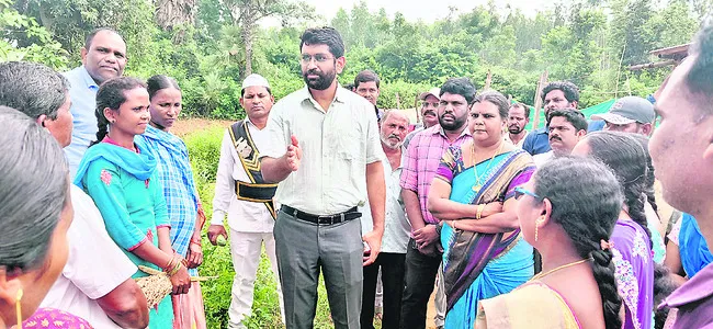 వెదురు సాగు లాభదాయకం